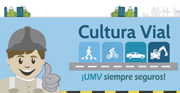 umv_seguridad_vial