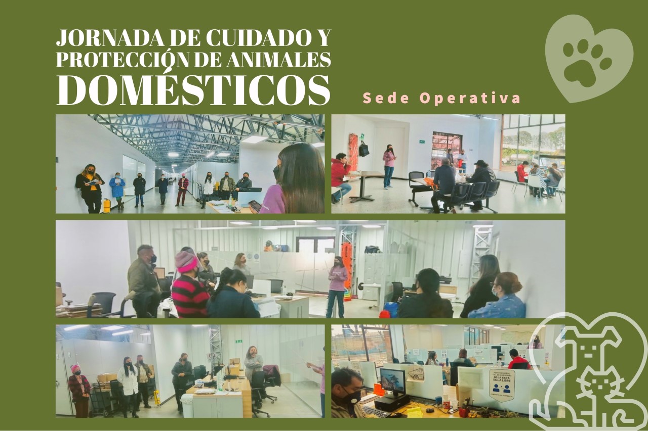 jornada de cuidado y protección de animales domésticos 