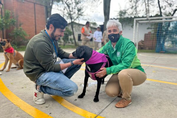 Adoptémonos – Jornada de Adopción Animal