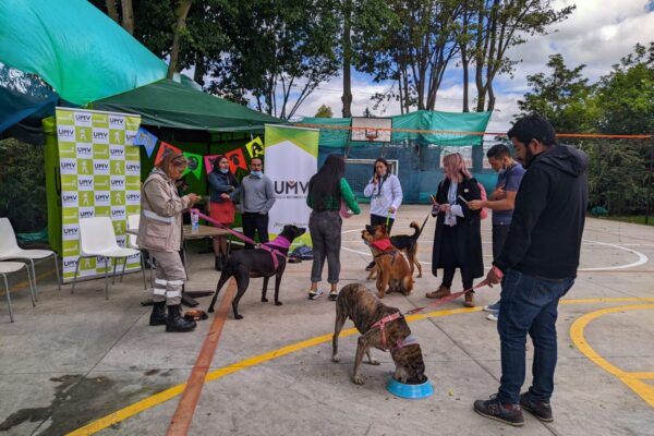 Adoptémonos – Jornada de Adopción Animal