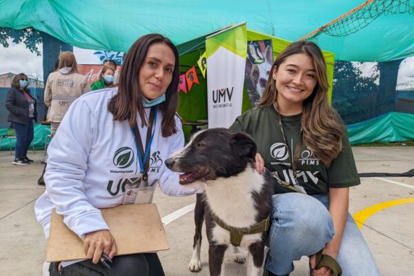 Adoptémonos – Jornada de Adopción Animal