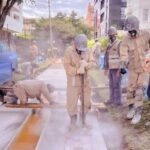 La Unidad De Mantenimiento Vial Se Compromete Con El Espacio Público Para Peatones En Bogotá