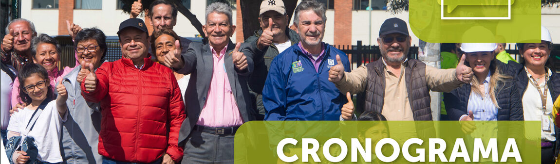 cronograma participación ciudadana 2024