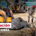 Programación de Obra diaria