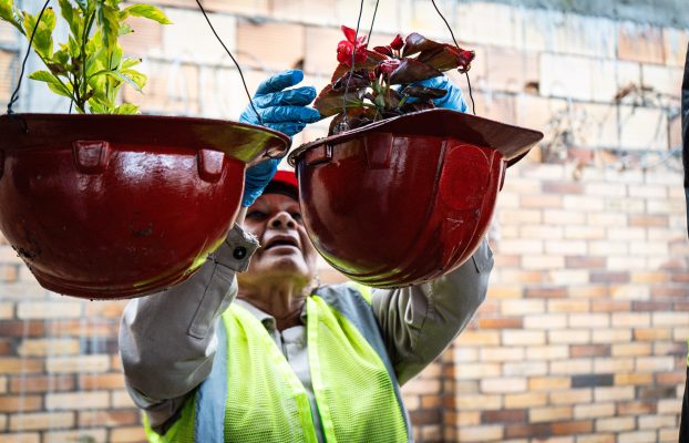 La UMV convierte cascos en materas y fortalece la infraestructura verde urbana