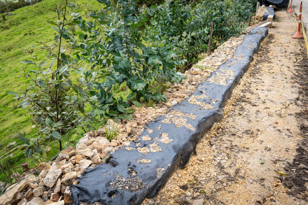 La UMV fortalece la movilidad rural y la protección ambiental en Sumapaz La UMV fortalece la movilidad rural y la protección ambiental en Sumapaz