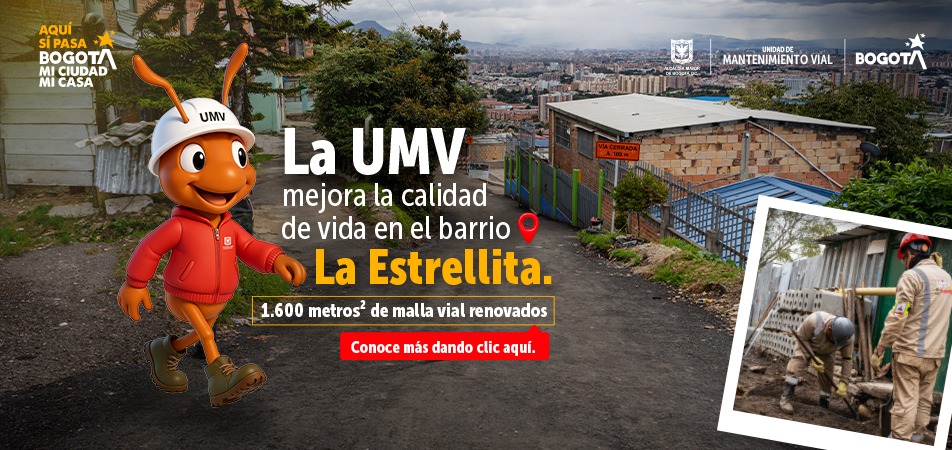 formulario rendición de cuentas formulario rendición de cuentas