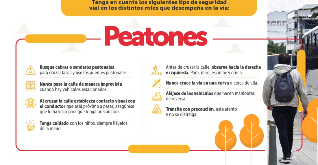 Tips de Seguridad Vial