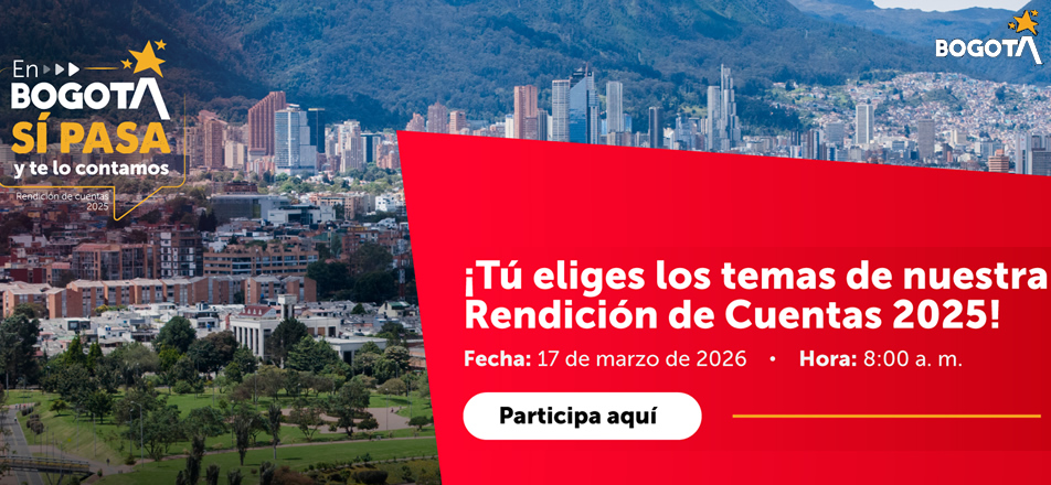 Formulario rendición de cuentas Formulario rendición de cuentas