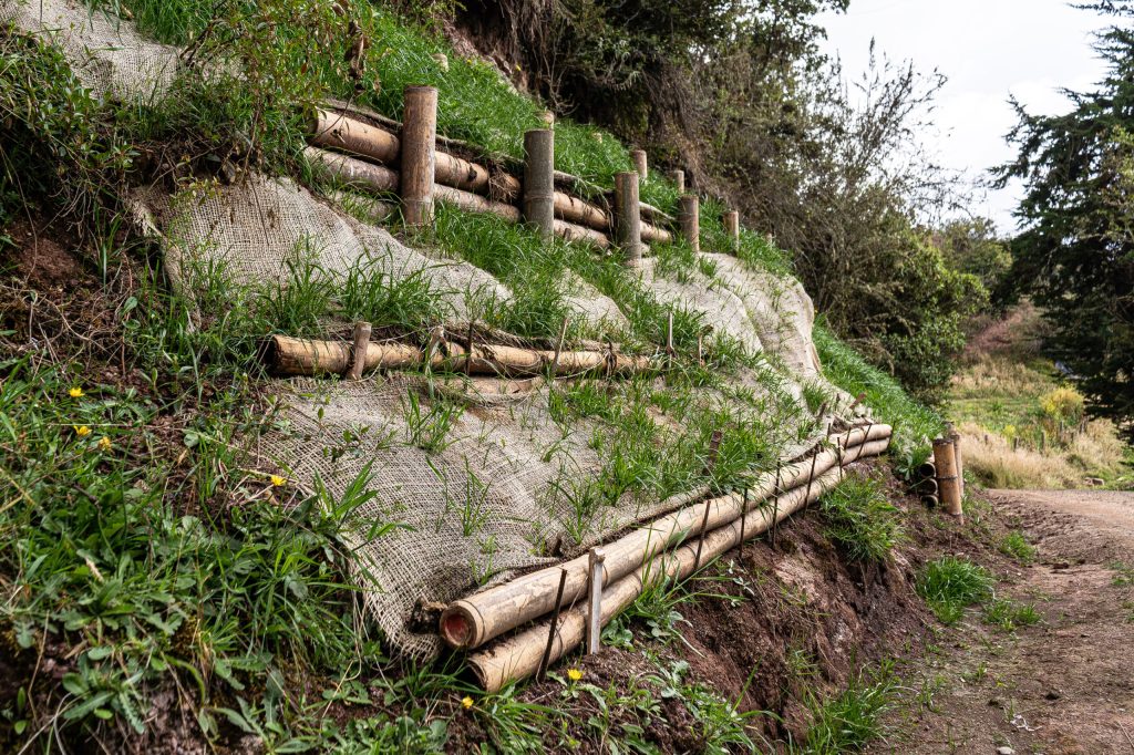 En la vereda La Unión, en Usme, la UMV fortalece la conectividad rural con obras de bioingeniería En la vereda La Unión, en Usme, la UMV fortalece la conectividad rural con obras de bioingeniería