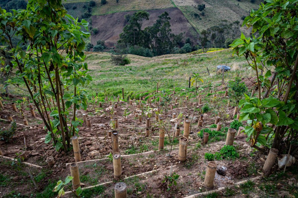 En la vereda La Unión, en Usme, la UMV fortalece la conectividad rural con obras de bioingenieríafd33df2f584c En la vereda La Unión, en Usme, la UMV fortalece la conectividad rural con obras de bioingeniería